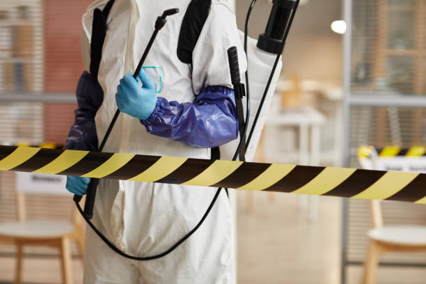Professional Sewage Cleanup technician working in Hayden, ID